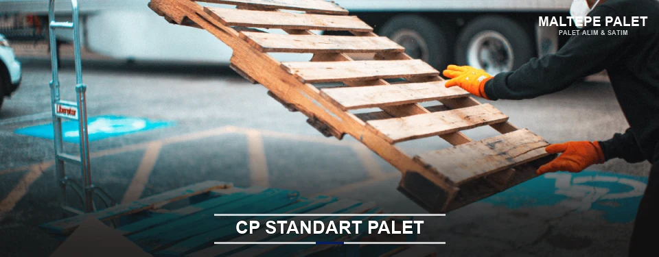 Maltepe CP Palet Çözümleri